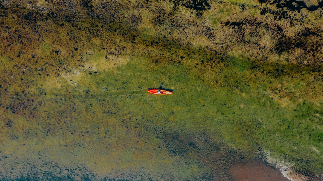 Embracing the Great Outdoors: A Journey of Self-Discovery